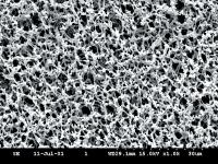 Membrane disques me25/31 st membrane circles noir mixed esters 0,45 µm 3,1 blanc grid stérile 47 mm x 100