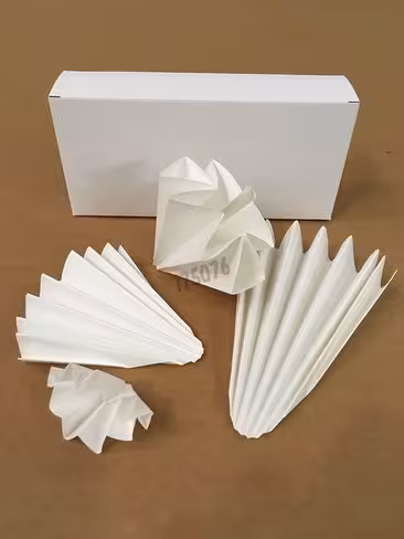 Papier filtre plissé sans cendre Ø 150 mm filtration moyenne x 100