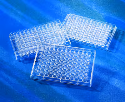 Microplaque 96 puits PS transparente fond en V non traitée sans couvercle non stérile x 100