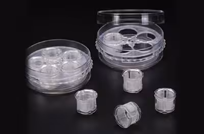 Boîte multi inserts TC (5) membrane nylon cotés - fond creux pour agitation 1,77cm2 15ml stérile/9 x 2