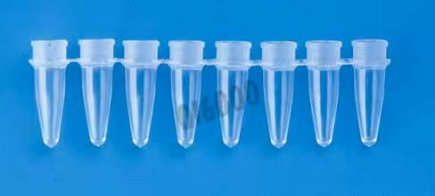 Barrette PCR 8 microtubes 0,2 ml naturel cap dome x 250