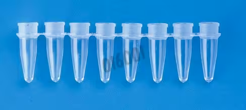 Barrette PCR 8 microtubes 0,2 ml naturel ab-0264 ABGENE x 250