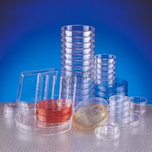 Boîte de Pétri 100 avec ergot x 120