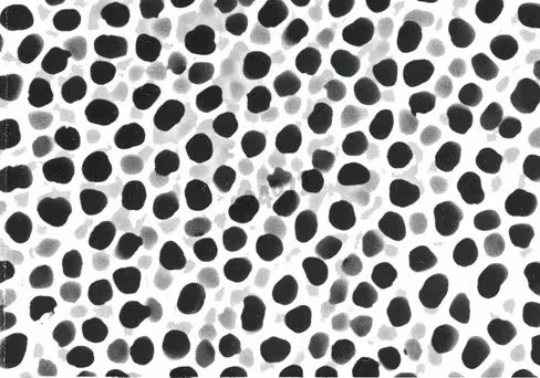 Membrane disques rc58 membrane circles cellulose régénérée 0,2 µm 47 mm x 100