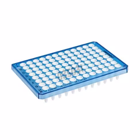 Plaque PCR twin tec real-time 96 semi-jupée puits blancs bleu x 25