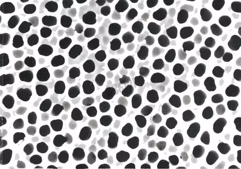 Membrane disques anod 25 mm 0,02 µm supp x 50