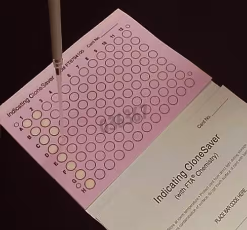 Clone saver card 96 échantillons x 5