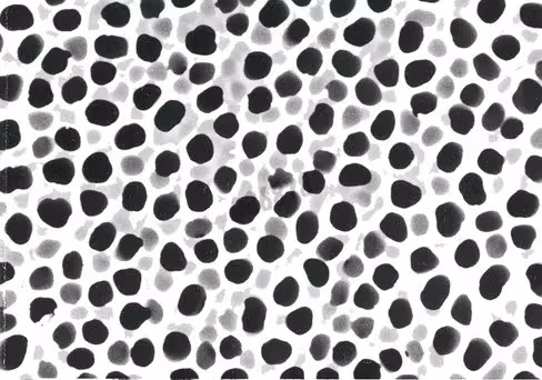 Membrane oe66 cellulose acetate 0,2 µm Ø 47 mm x 100