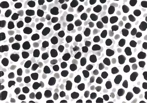 Membrane st69 cellulose acetate 1,2 µm 47 mm x 100