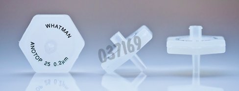 Filtre-seringue Anotop 25 plus 0,2 µm préfiltre en fibre de verre stérile x 50