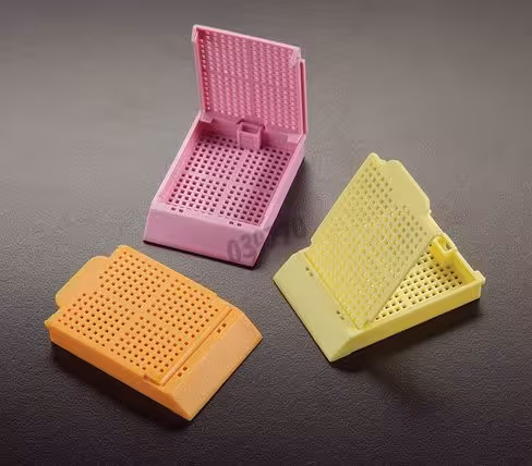 Histosette 2 biopsie mauve x 500