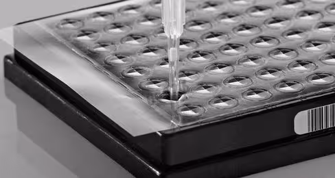 Film adhésif transparent perçable x 100