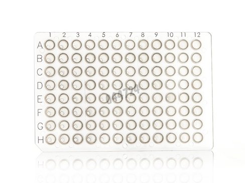 Plaque 96 PCR framestar puits transparents et cadre transparent x 50