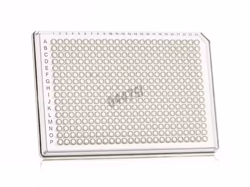 Plaque 384 PCR framestar puits transparents et cadre transparent x 50