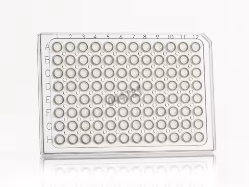 Plaque 96 PCR framestar demi-jupe puits transparent cadre transp 4ti-0770/c x 50