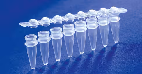 Barrette de 8 microtubes PCR 0,2 ml + barrette de 8 cap attenant dôme naturel x 125