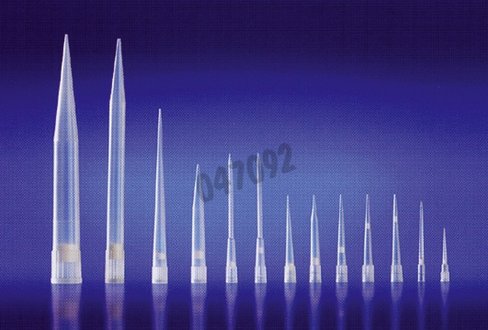 Pointe Finntip 300 µl filtre stérile rack 96x10Thermoscientific