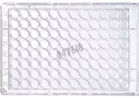 Plaque 96 puits transparente fond plat immulon 2hb THERMO x 50