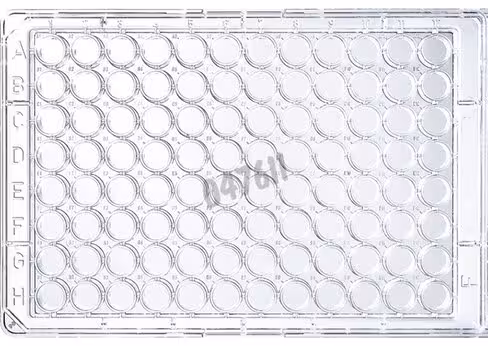 Plaque 96 puits transparente fond rond immulon 2hb THERMO x 50