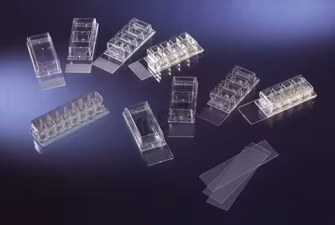 Labtek i sur lame verre séparable 8 compartiments NUNC x 8