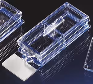 Labtek ii sur lame verre séparable 2 compartiments NUNC x 16