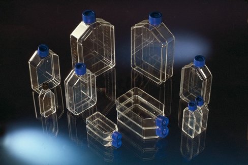 Flacon de culture col droit cap standard 800 ml 175 cm /1 NUNC x 32