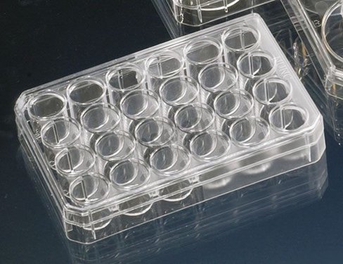 Plaque PS f24 NUNClon x 85