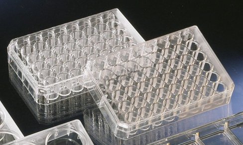 Plaque 48 puits tc /5 x 85