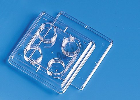 Boîte 4 puits NUNC non traitée cultre avec certificat x 120