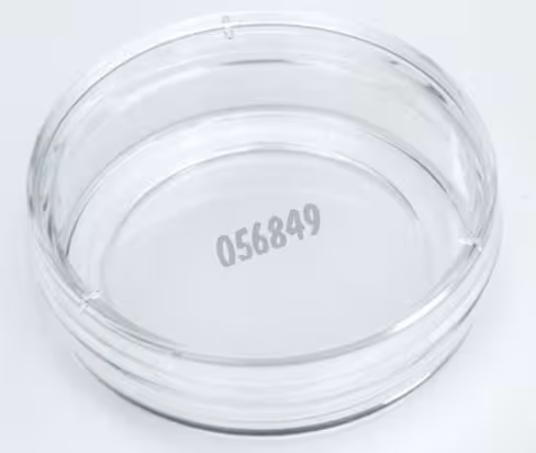 Boîte de Pétri NUNC fond Verre 27 mm x 20