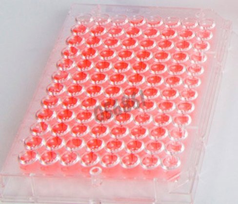 Plaque culture NUNClon sphera 96 puits fond plat x 8