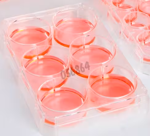 Plaque culture NUNClon sphera 6 puits x 7