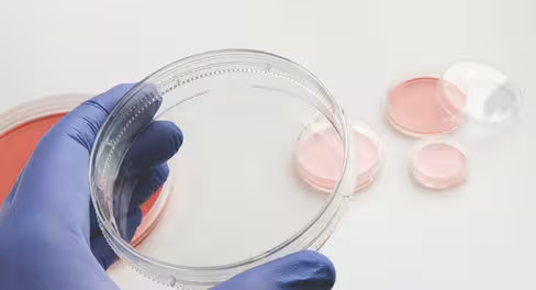 Boîte de pétri easydish 100x20 mm nunclon delta st x 240