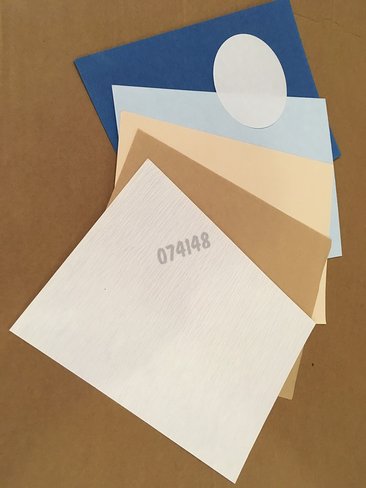 Feuille de papier test germination 110 x 170 mm x 100