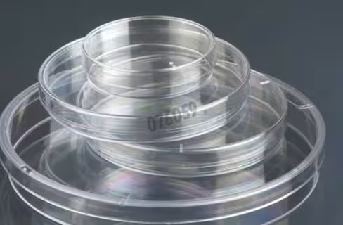 Boîte de Pétri Ø 55 mm sans ergot aseptique CLEARLINE x 1200