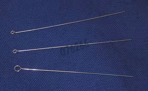Inoculateur inox 2,5 mm