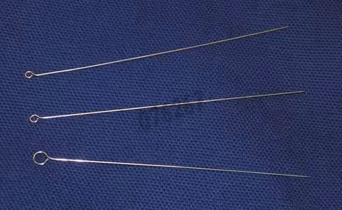 Inoculateur inox 4 mm