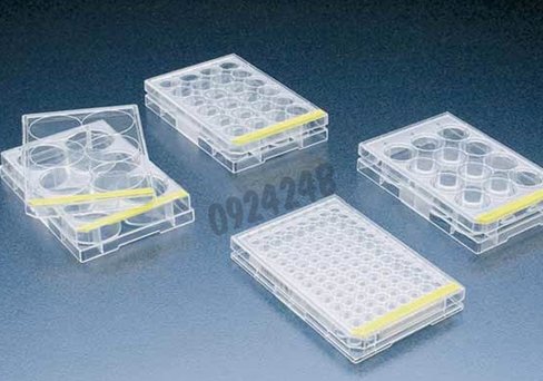 Plaque culture 24 puits Tpp 4 x 72