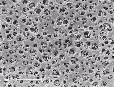 Membrane acétate 0,45 µm 47 mm x 100
