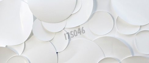 Membrane CLEARLINE nylon 0,45 µm Ø 25 mm non stérile blanche x 100