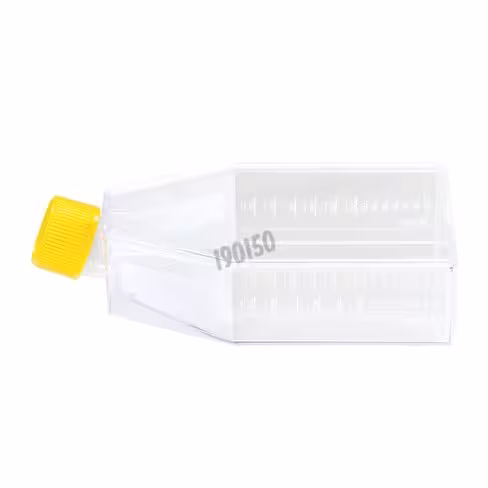 Flacon de culture col incliné à capuchon 2 positions 150 cm² TPP 3 x 36