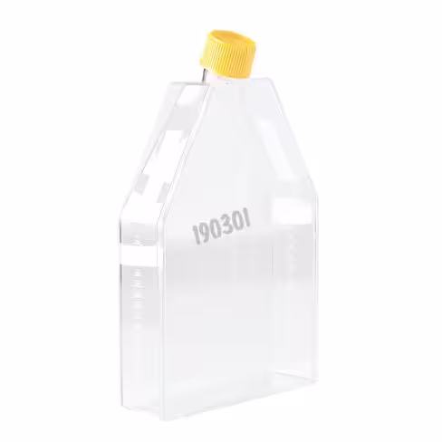 Flacon de culture col incliné à capuchon filtrant 300 cm TPP 3 x 18