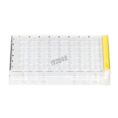 Plaque culture 48 puits fond plat TPP x 126