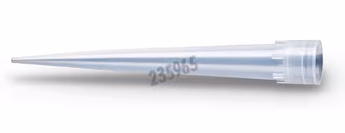 Cône transparent sans filtre empilé ntr 5 x 4 piles x 11520