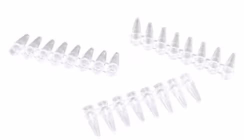 Barrette 8 capuchons plats optiques PCR Clearline x 250