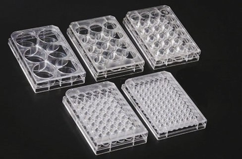 Plaque de culture ps 48 puits 85.4 x 127.6 mm fond plat tc stérile x 50