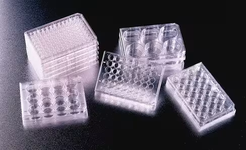 Plaque Microtest 96 puits Falcon fond rond avec couv surface pousse 0,36 cm² vol tot 0,32 ml emb indiv x 50