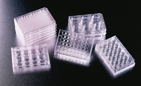 Plaque Multi puits 48 puits Falcon fond plat av couv surf pousse 0,75 cm² vol tot 1,6 ml- 6 sachets de 6