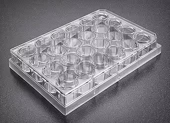 Plaque Companion 24 puits Falcon pour insert Ø 6,3 mm emballage individuel x 50