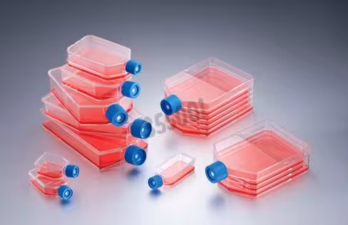 Flacon Falcon surface de pousse 150 cm² 600 ml col incliné bouchon à membrane filtrante Sachet de 5 x 40